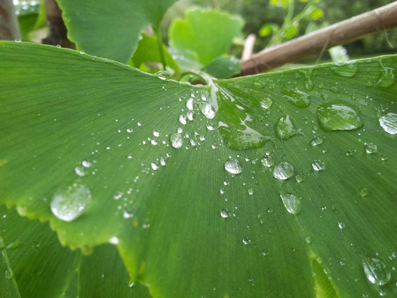 最后生还者<br>qyf5seag.cn 真菌孢子危机